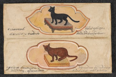 シャム猫、フォル。 1：商売と富の蓄積をサポートする2匹の招き猫、または。 16797、f.1（羊皮紙） 作： Thai School