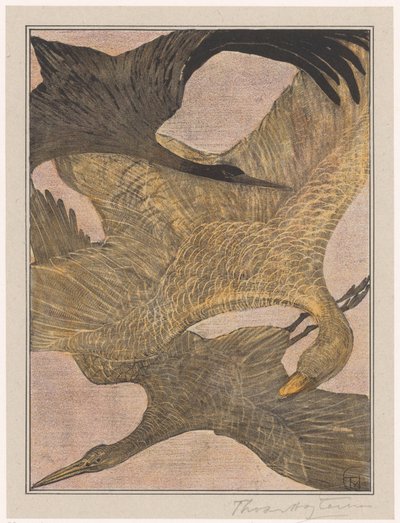 3羽の飛ぶ鳥 作： Theo van Hoytema (signed by artist)