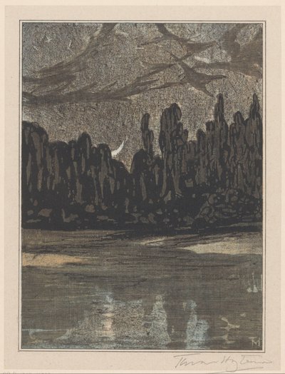 渡り鳥のいる夜景 作： Theo van Hoytema (signed by artist)