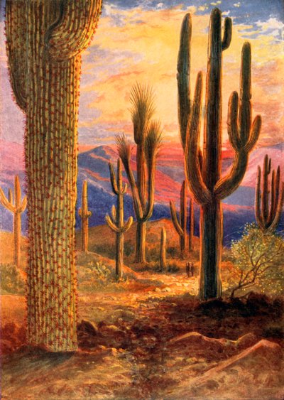  作： Theobald Carreras