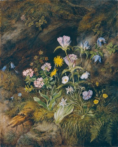 高山植物 作： Theodor Josef Petter