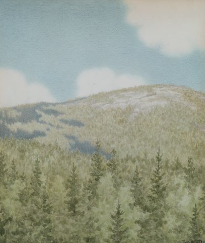 鳥が飛んだ 作： Theodor Kittelsen