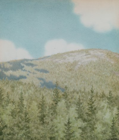鳥が飛んできた 作： Theodor Severin Kittelsen