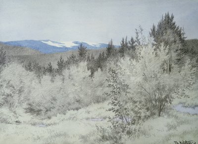 遥か彼方の森で 作： Theodor Kittelsen