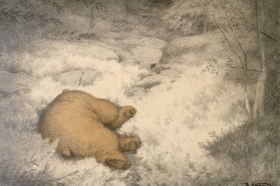クマはブルーベリー・ヘザーで眠る 作： Theodor Severin Kittelsen