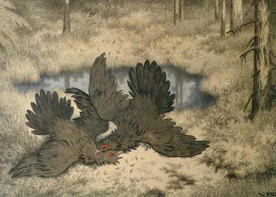 トロール鳥がそこで戦います 作： Theodor Kittelsen