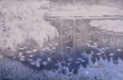 Svartebudaleには池があります 作： Theodor Kittelsen