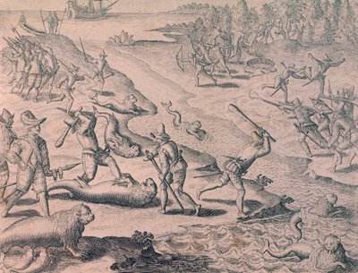 探検家によるアシカの屠殺 作： Theodor de Bry