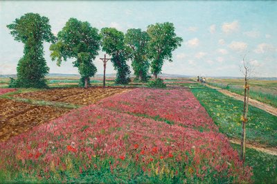 ズノイモ IV の大規模な sainfoin フィールド 作： Theodor von Hormann