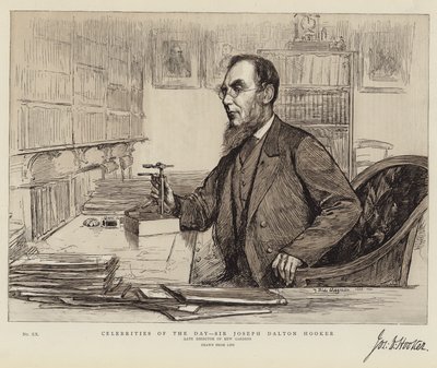 今日の有名人、ジョセフダルトンフッカー卿 作： Theodore Blake Wirgman