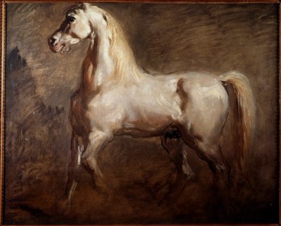 左の横顔の白い馬の研究テオドール・シャセリアウによる絵画 作： Théodore Chassériau