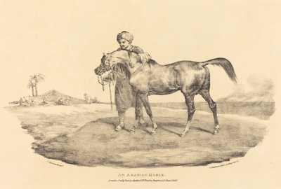 アラビアの馬 作： Theodore Gericault