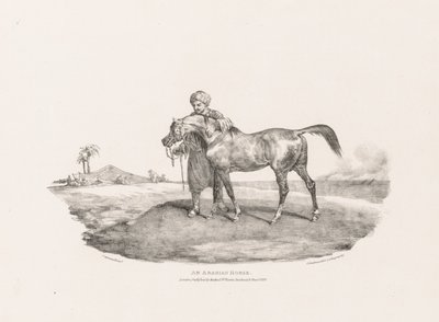 アラビア馬 作： Theodore Gericault