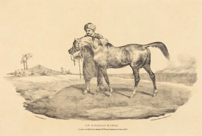  作： Theodore Gericault
