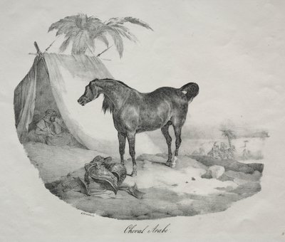 アラブの馬 作： Theodore Gericault