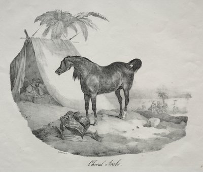 アラビア馬 作： Theodore Gericault