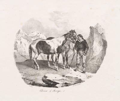 オーヴェルニュ馬 作： Theodore Gericault