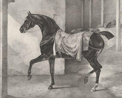 馬小屋につながれた黒い馬、1822年。 作： Theodore Gericault
