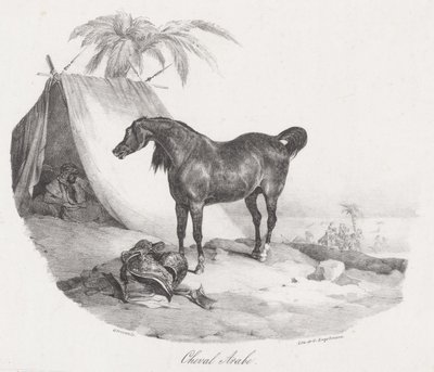 アラビア馬（An Arabian Horse） 作： Theodore Gericault