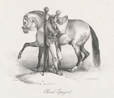 スペインの馬（A Spanish Horse） 作： Theodore Gericault