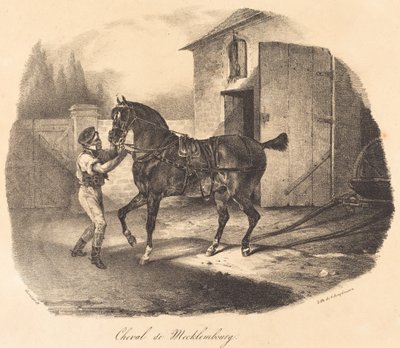 メクレンブルグ馬 作： Theodore Gericault