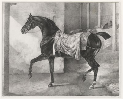 厩舎に繋ぎ止められた黒い馬（A Black Horse Tethered in a Stable） 作： Theodore Gericault