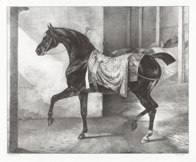  作： Theodore Gericault