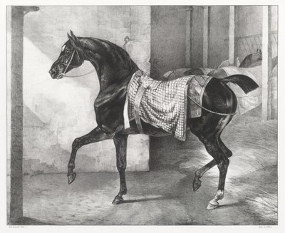  作： Theodore Gericault