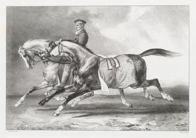  作： Theodore Gericault