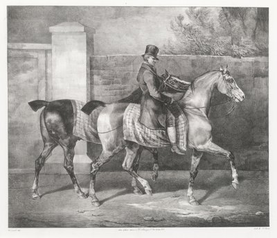 騎手が2頭の馬を散歩させている（『A Groom Exercising Two Horses』） 作： Theodore Gericault