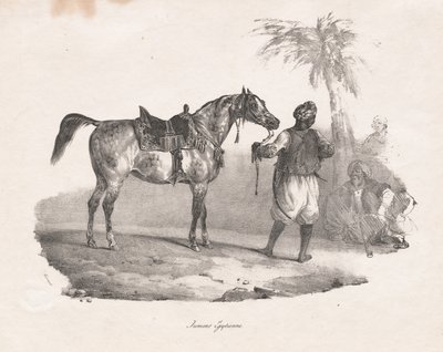 エジプシャン・マーレ 作： Theodore Gericault