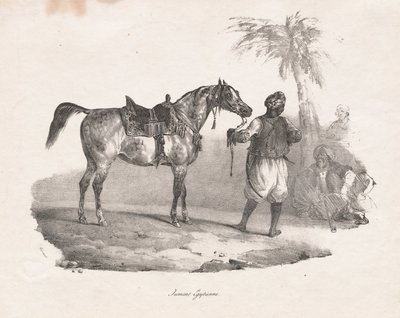 エジプト牝馬 作： Theodore Gericault