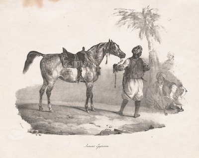 エジプト馬、1822年。 作： Theodore Gericault