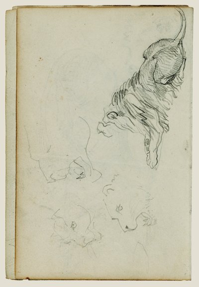 つのライオン研究 作： Theodore Gericault