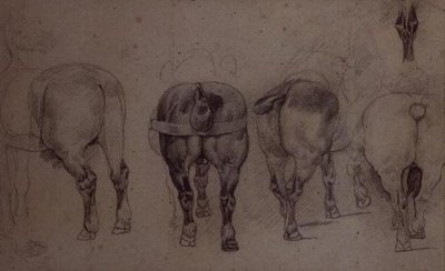 ハーネス付きの馬（鉛筆 作： Theodore Gericault