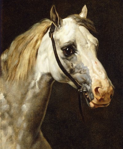 Piebald馬の頭、 作： Theodore Gericault