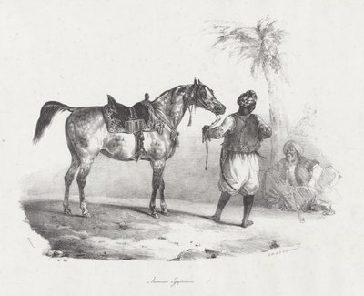  作： Theodore Gericault