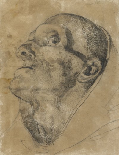 見上げる男性の頭、見下ろす男性 作： Theodore Gericault