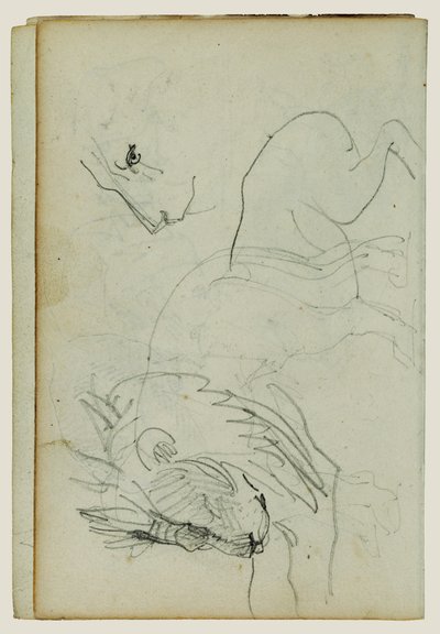 ライオン研究 作： Theodore Gericault