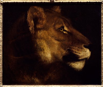 ライオンの頭の絵 テオドール・ジェリコー（1791-1824） 19世紀 日0.55x0.65 m パリ、ルーヴル美術館- 雌ライオンの頭部。セオドア・ジェリコー(1791-1824)の絵画 作： Theodore Gericault