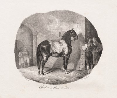 馬のリトグラフ研究：Pl。 7、カーン平原の馬、1822年。 作： Theodore Gericault