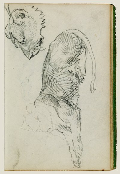 座るライオン、雌ライオンの頭 作： Theodore Gericault