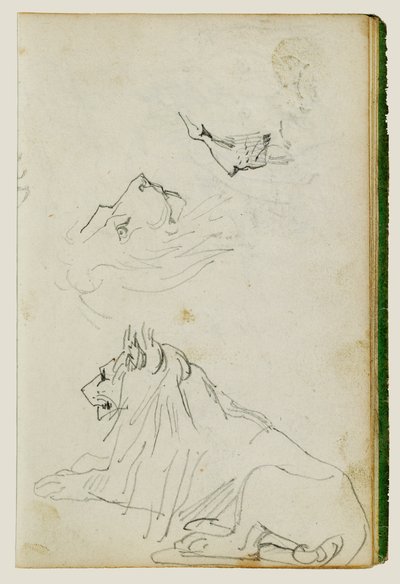 座るライオン、ライオンの頭部の習作2点 作： Theodore Gericault
