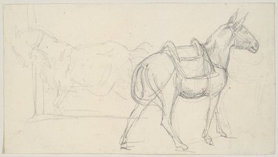  作： Theodore Gericault
