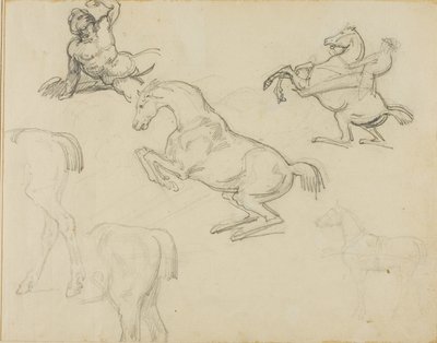 スケッチ横たわるヌード、騎手と様々な馬 作： Theodore Gericault