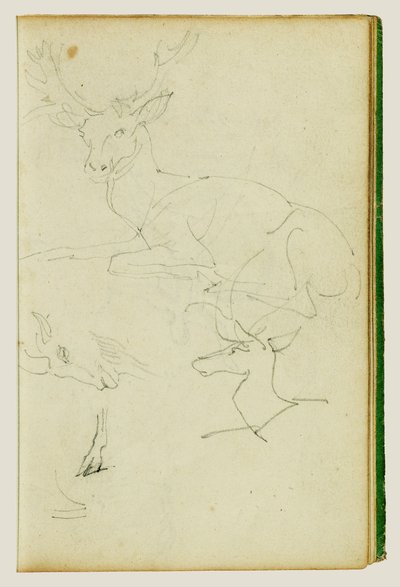  作： Theodore Gericault