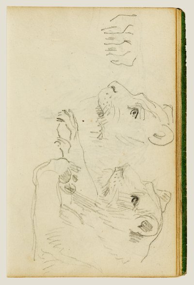  作： Theodore Gericault