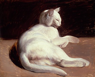 白猫、1817-18年頃 作： Theodore Gericault