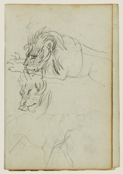 つのライオン研究 作： Theodore Gericault