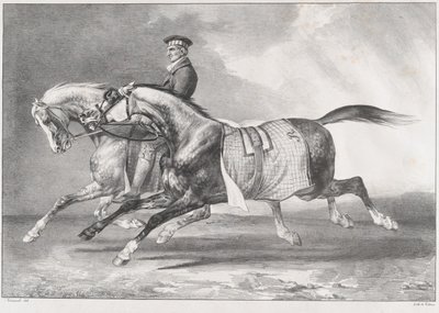  作： Theodore Gericault